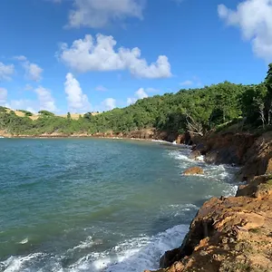 https://studio-green-jungle.comcaribbean.com
